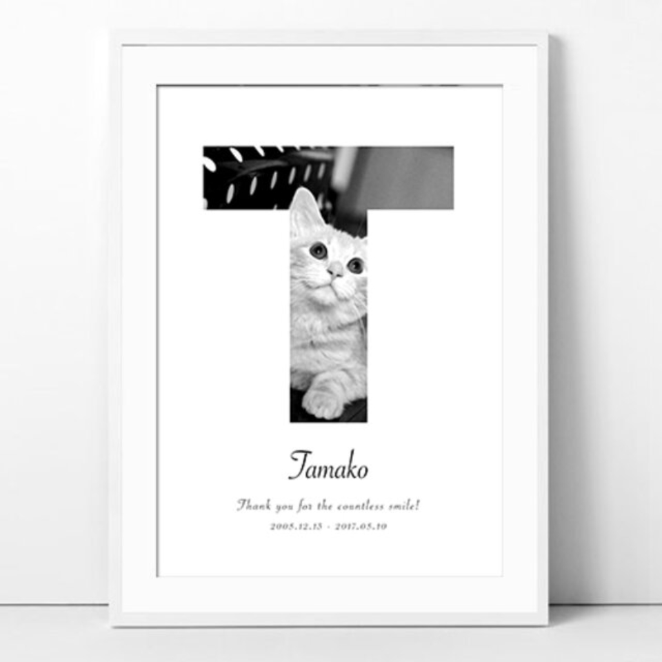 t007_2